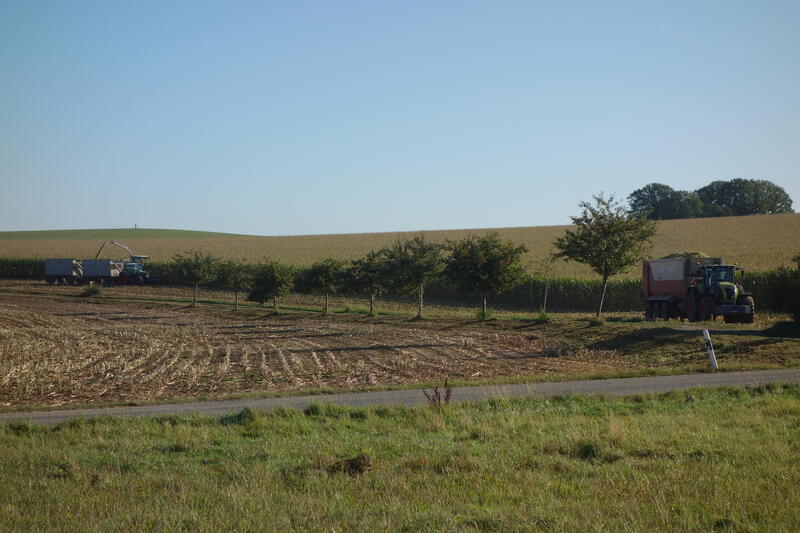 DSC01828.jpg