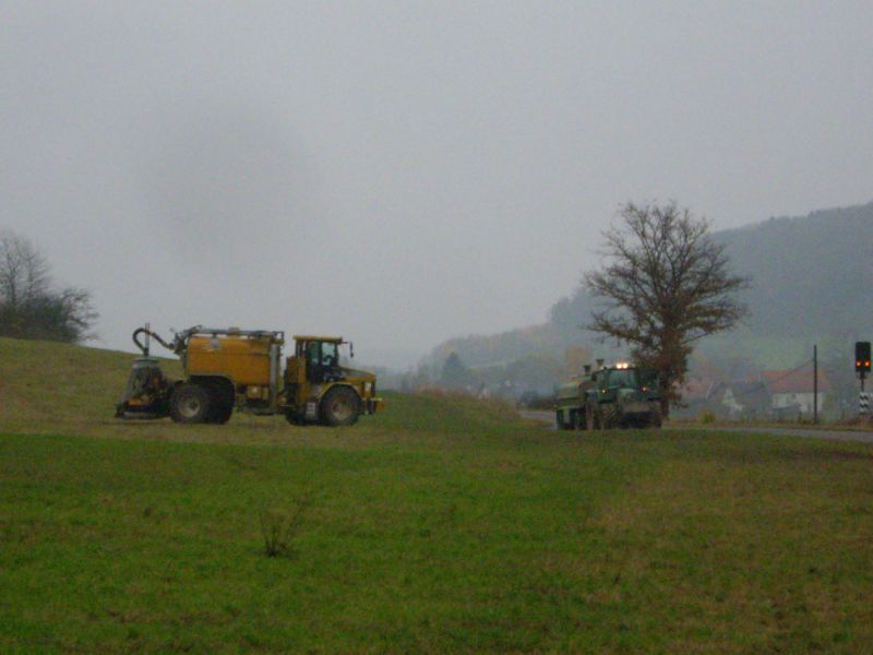 bilder/7_11_2008/IMGP2665.jpg
