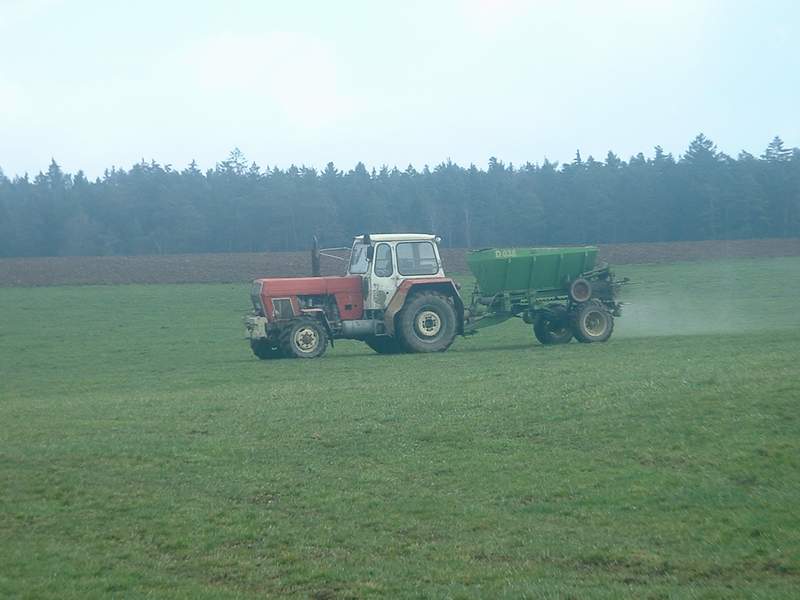 bilder/7_4_2004/zt_303_3.jpg