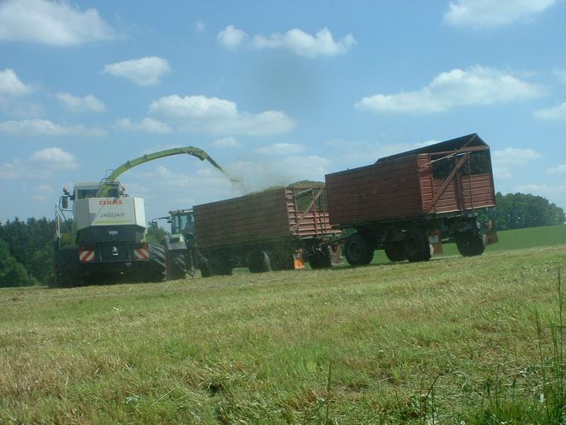 jaguar_fendt_13.jpg