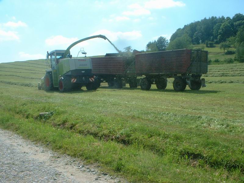 jaguar_fendt_16.jpg