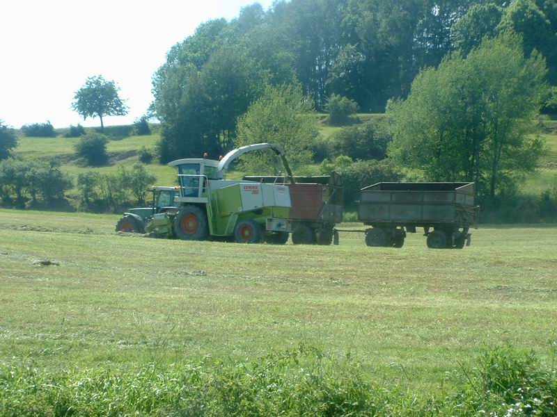 jaguar_fendt_21.jpg