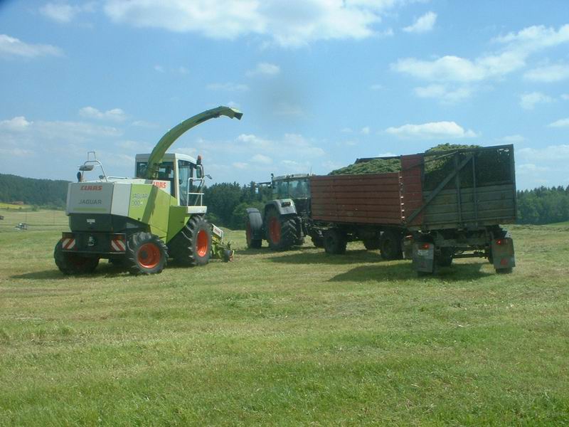 jaguar_fendt_3.jpg