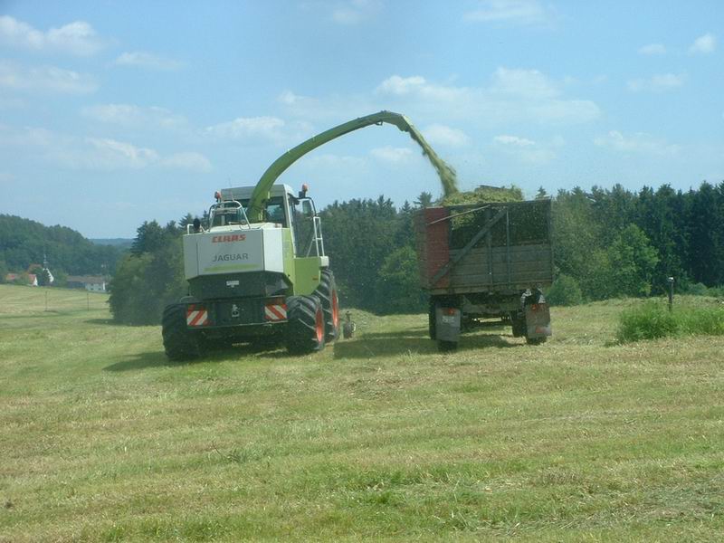 jaguar_fendt_4.jpg