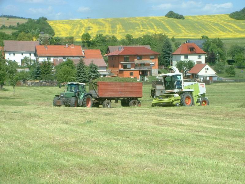 jaguar_fendt_8.jpg
