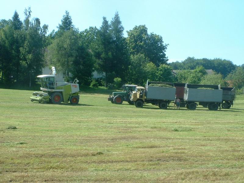 jaguar_fendt_w_50.jpg