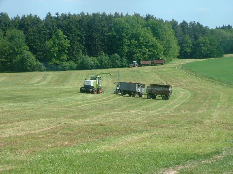 jaguar_fendt_zt_323_2.jpg