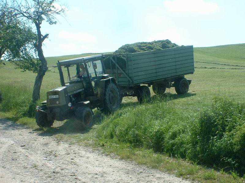 zt_323.jpg