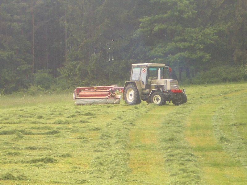 bilder/13_5_2014/CIMG2302.jpg