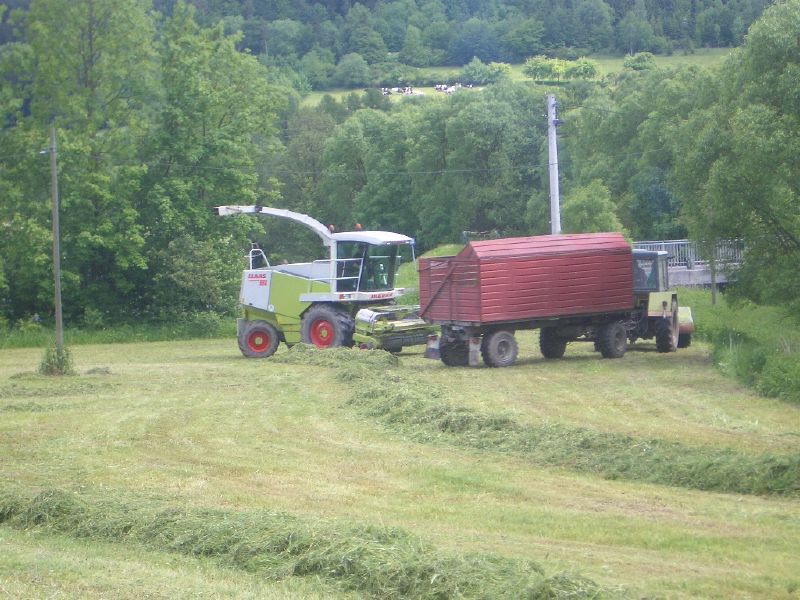 bilder/7_6_2006/IMGP3077.jpg