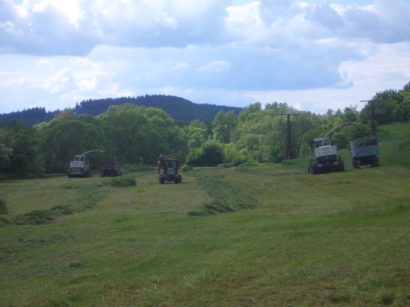 bilder/2024_03_21_3/DSC07289.jpg