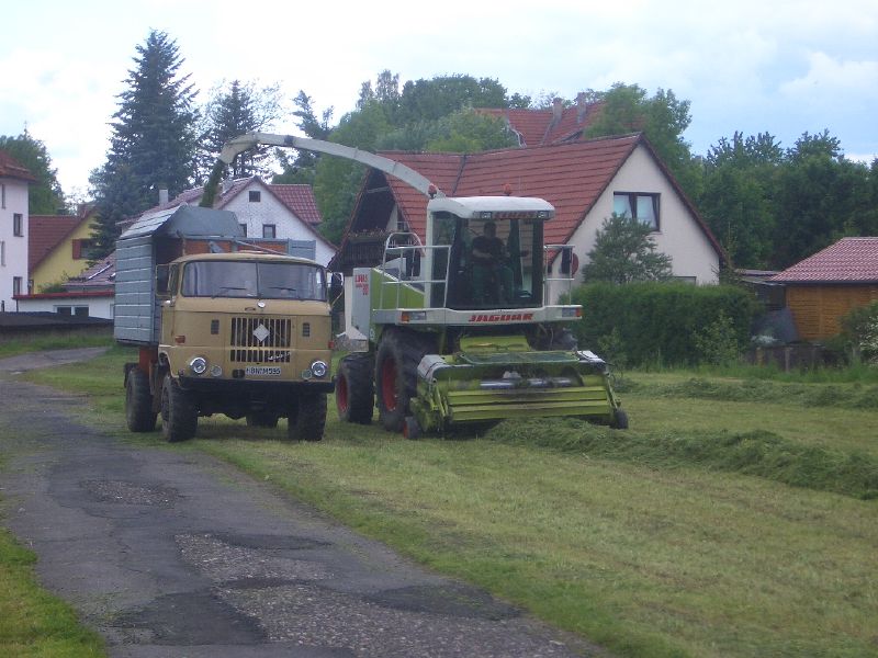 IMGP3128.jpg
