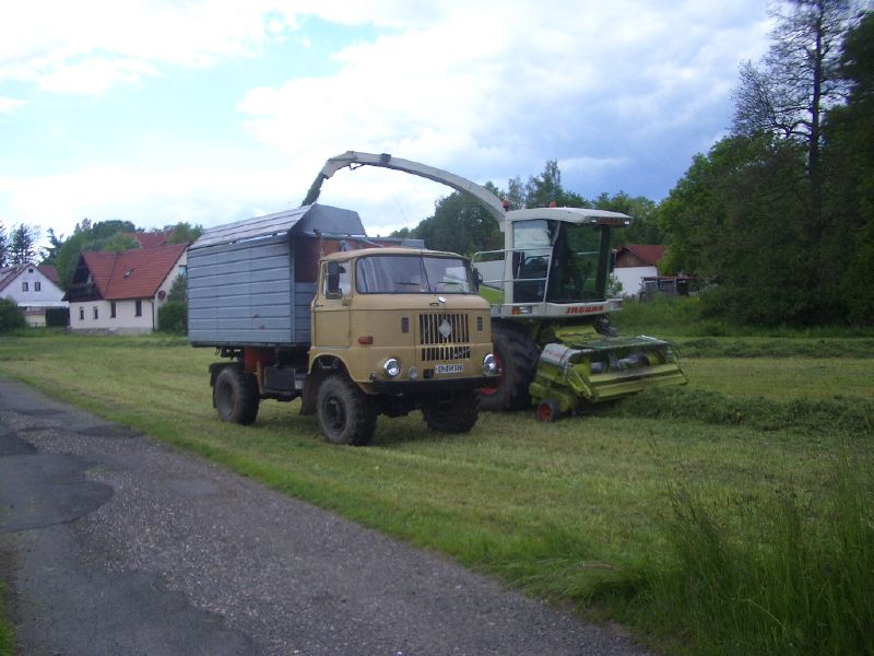 IMGP3129.jpg