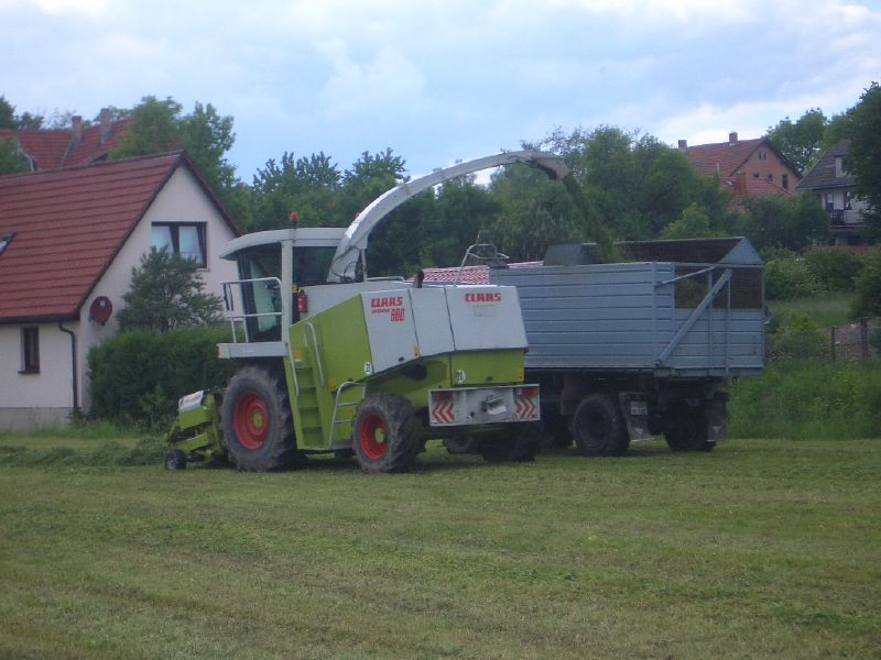 IMGP3133.jpg