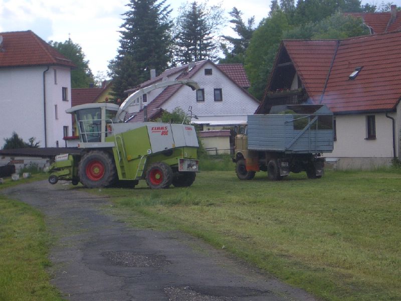 IMGP3134.jpg