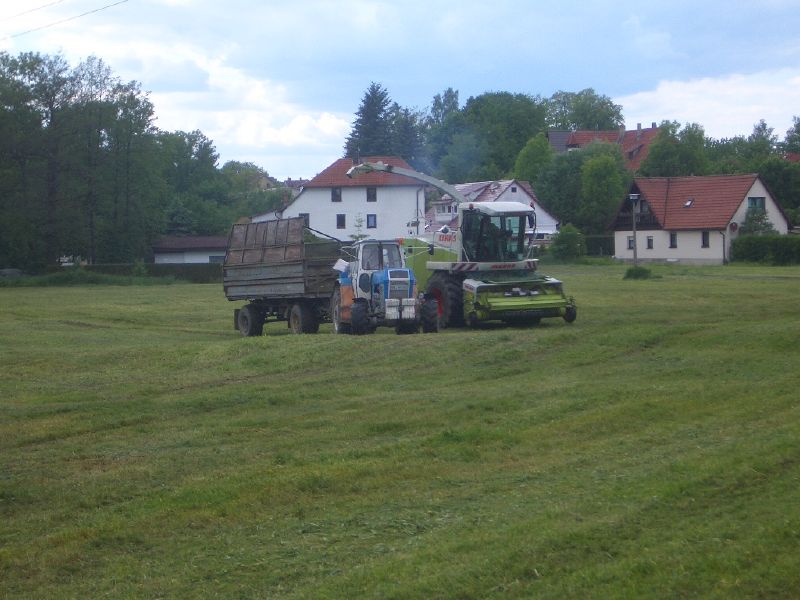 bilder/28_7_2016_3/DSC05179.jpg