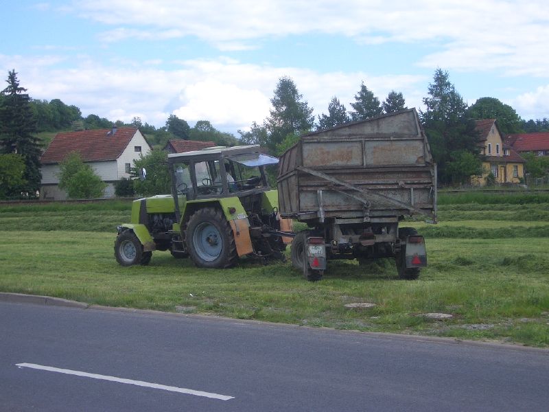 IMGP3153.jpg