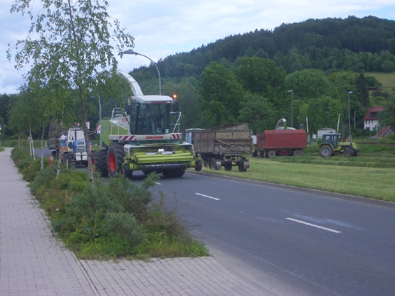 IMGP3154.jpg