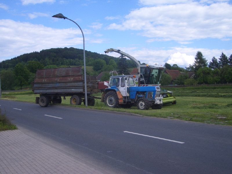 IMGP3155.jpg