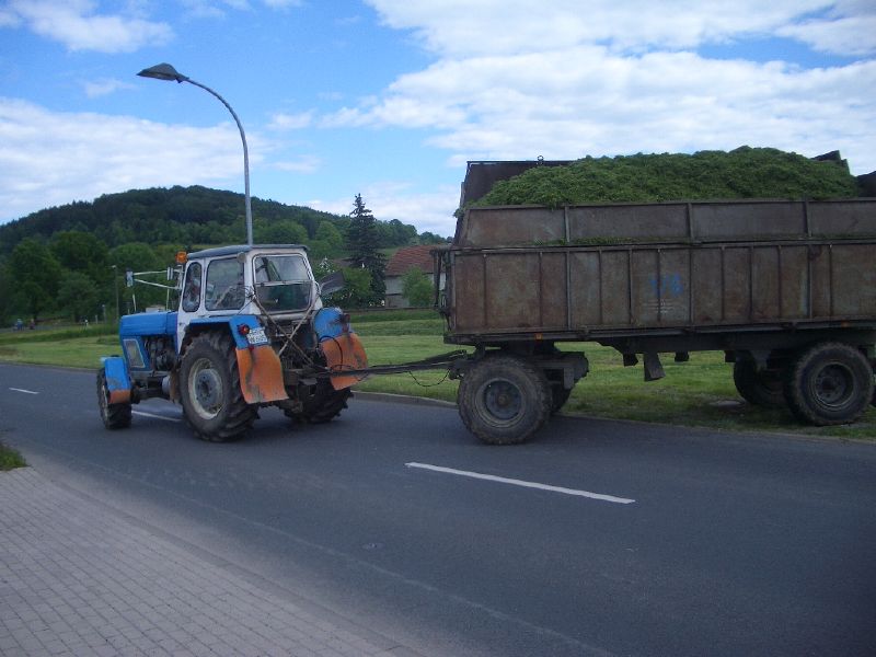IMGP3158.jpg