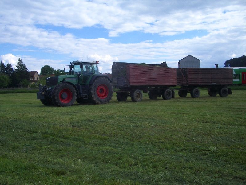 IMGP3174.jpg