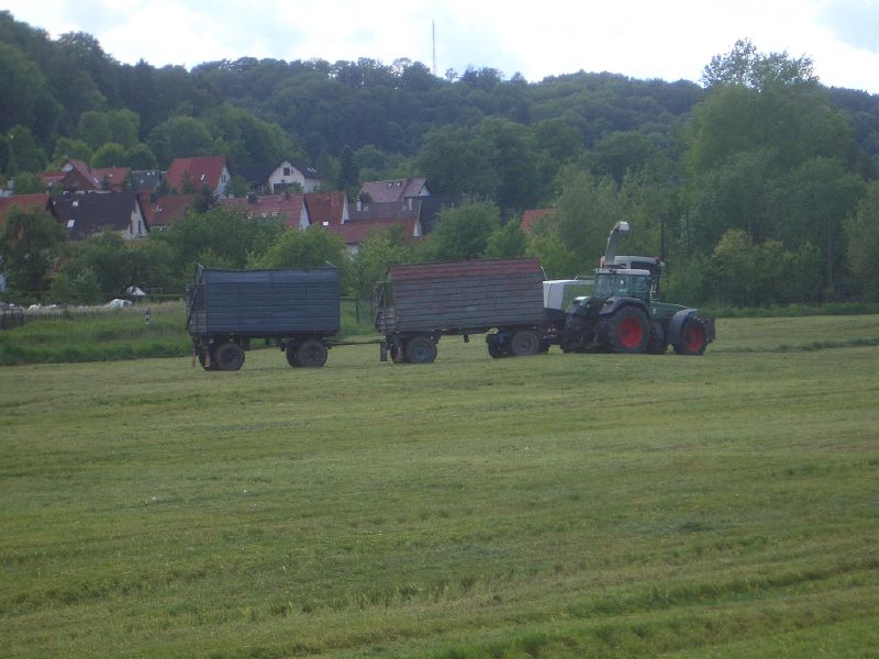 IMGP3178.jpg