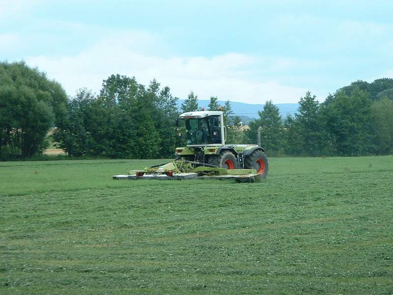 bilder/7_7_2003/xerion.jpg