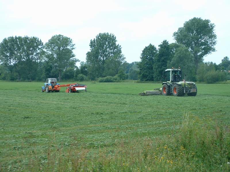 bilder/7_7_2003/xerion_+_zt_303_7.jpg
