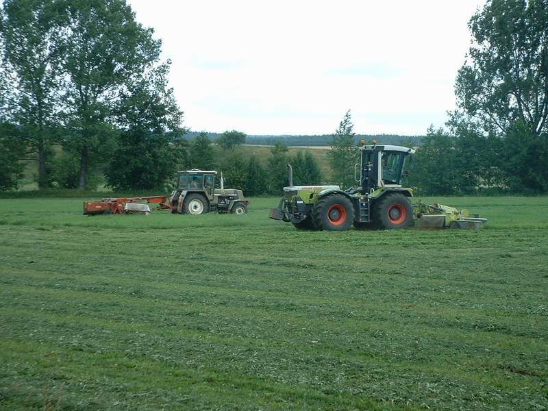 bilder/7_7_2003/xerion_+_zt_323_2.jpg