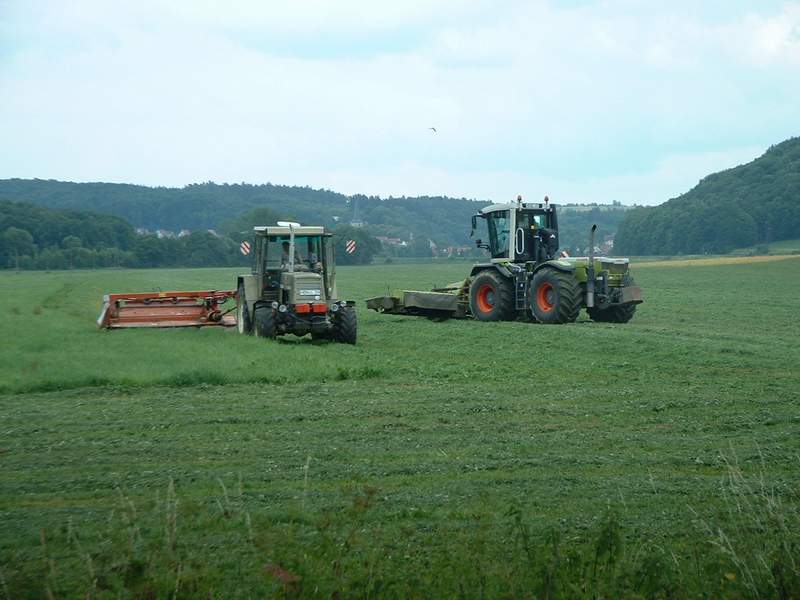 bilder/7_7_2003/xerion_+_zt_323_4.jpg