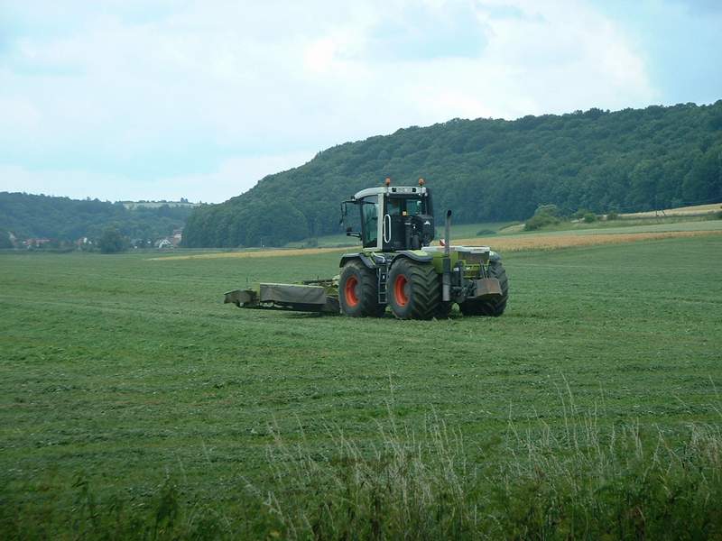 xerion_3.jpg