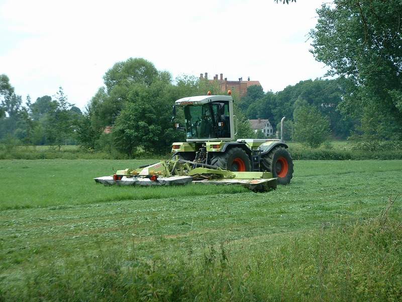 bilder/7_7_2003/xerion_6.jpg