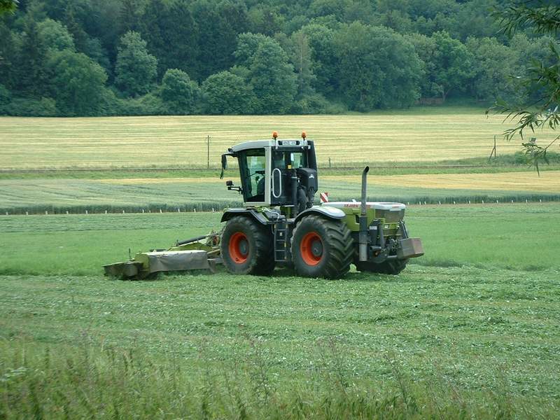 bilder/7_7_2003/xerion_7.jpg