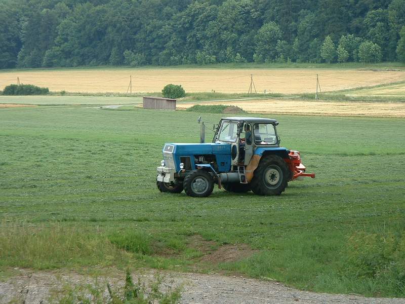 bilder/7_7_2003/zt_303_7.jpg