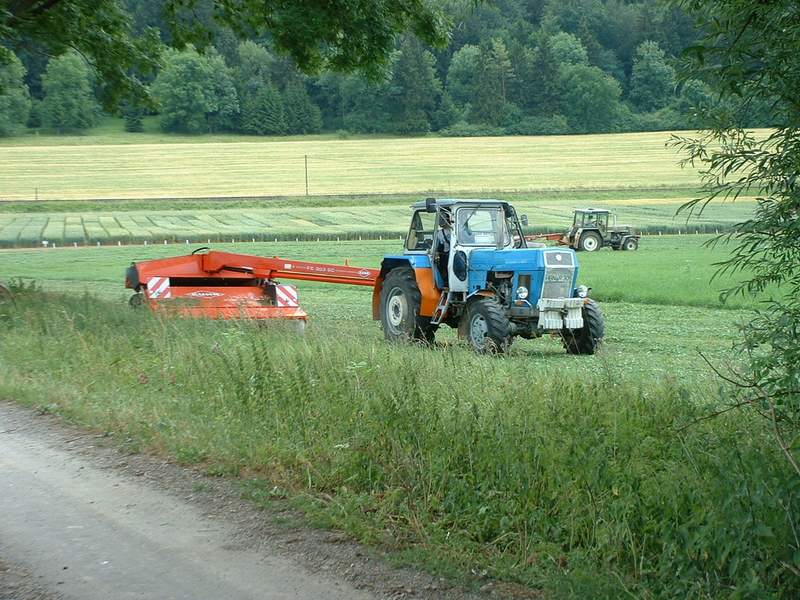 bilder/26_3_2004/zt_323_6.jpg