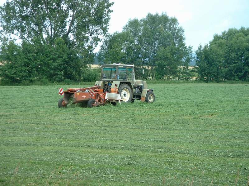 bilder/7_7_2003/zt_323_6.jpg