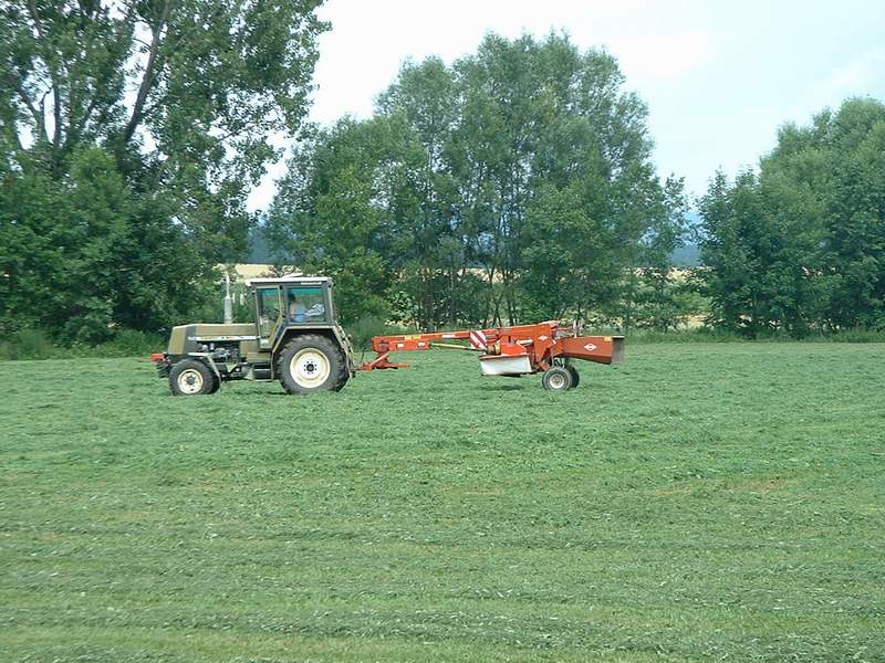 bilder/7_7_2003/zt_323_8.jpg