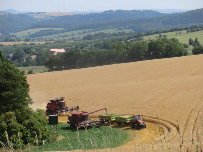 CIMG7134.jpg