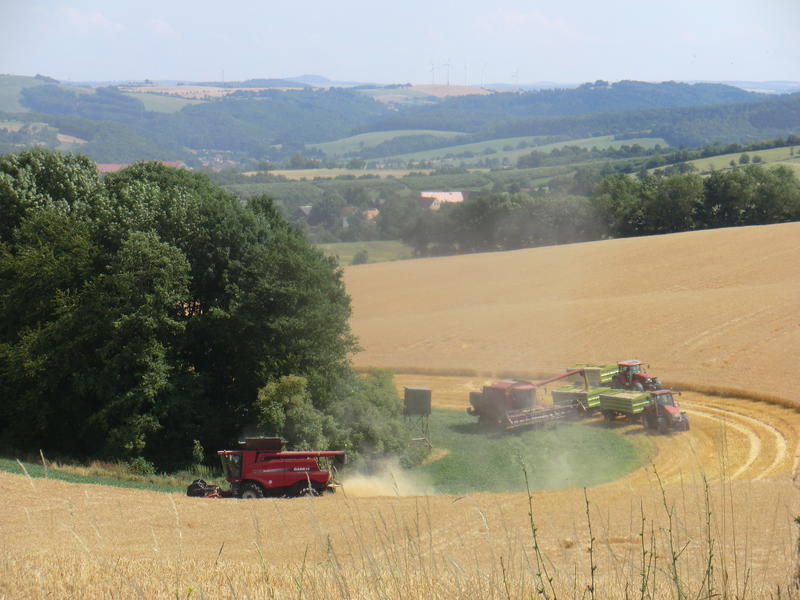 bilder/20_8_2003_1/fendt_10.jpg