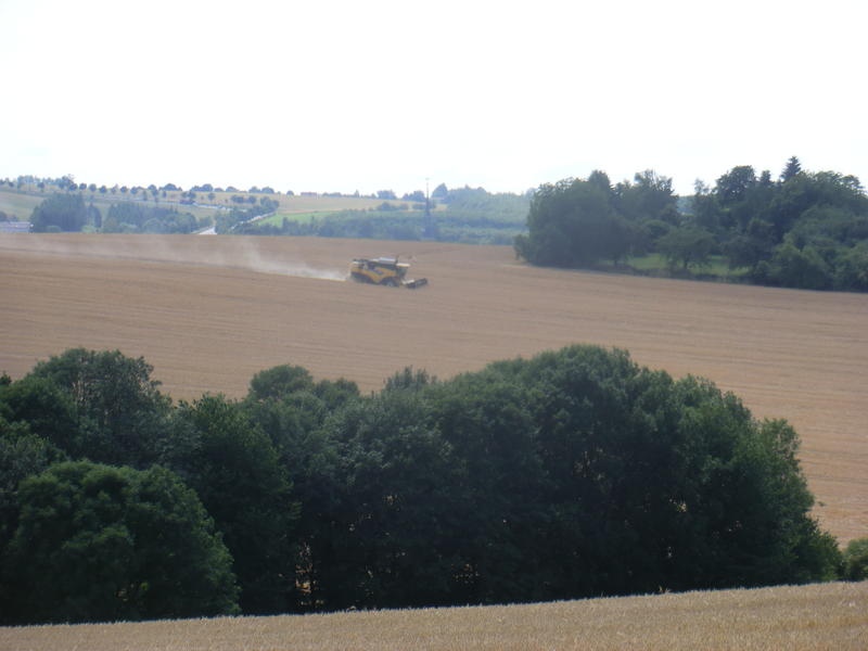 CIMG7146.jpg