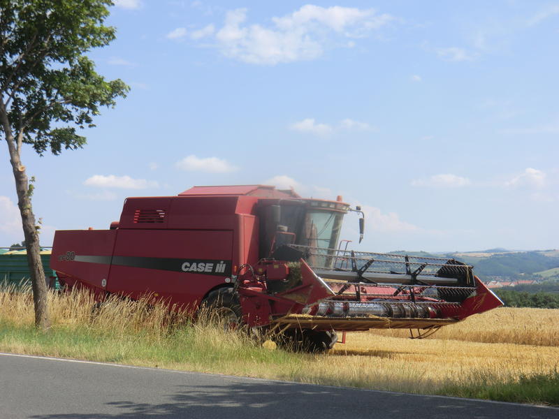 CIMG7149.jpg