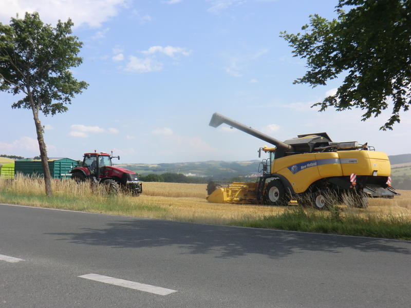 bilder/3_6_2004/terra_gator.jpg