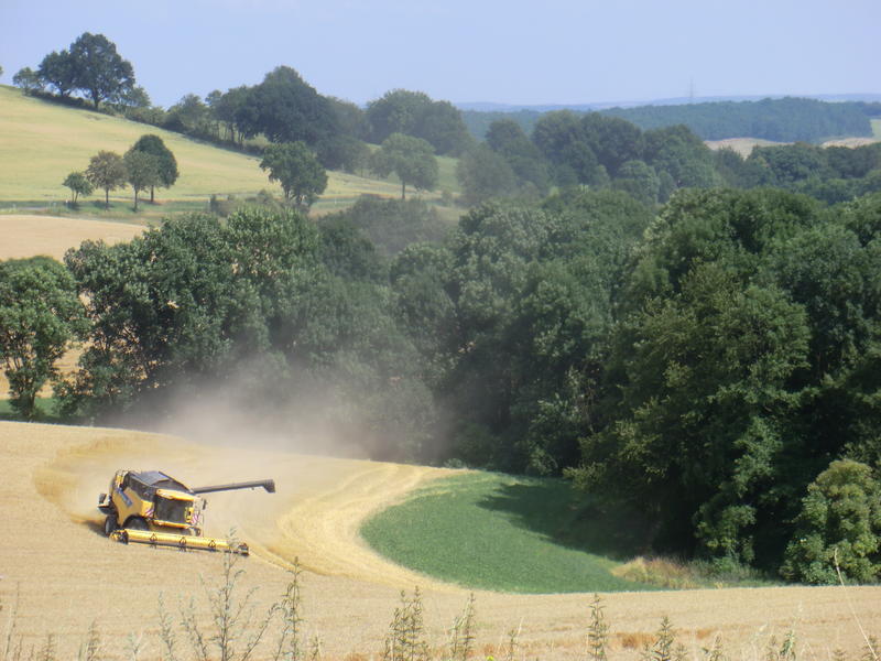 bilder/7_7_2014/CIMG7160.jpg