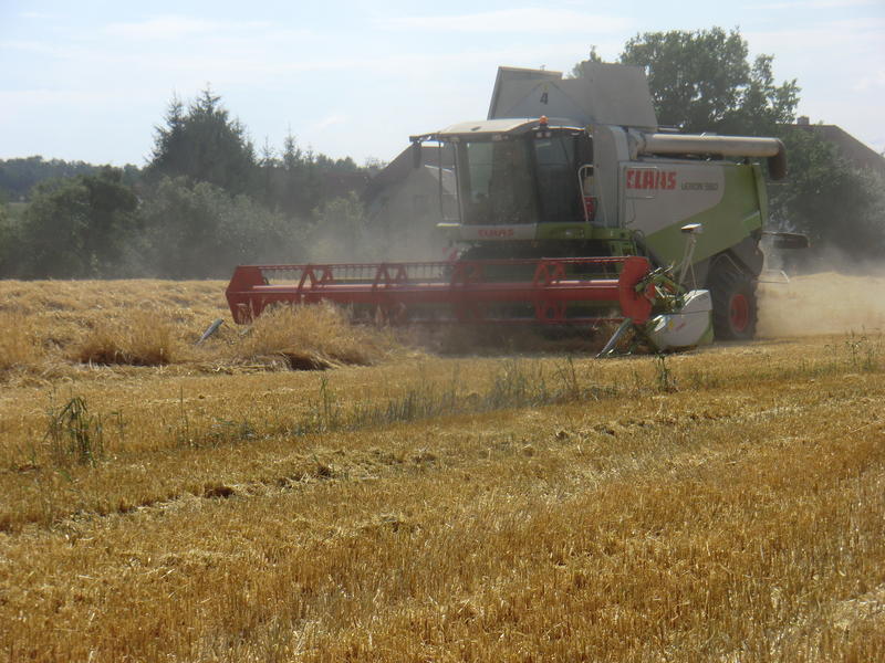 bilder/7_7_2014_2/CIMG7182.jpg