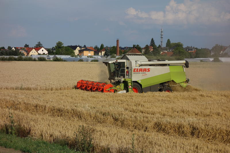 bilder/22_7_2013/CIMG8467.jpg