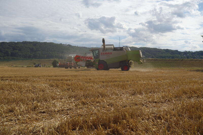 bilder/16_5_2005/fendt_815_14.jpg