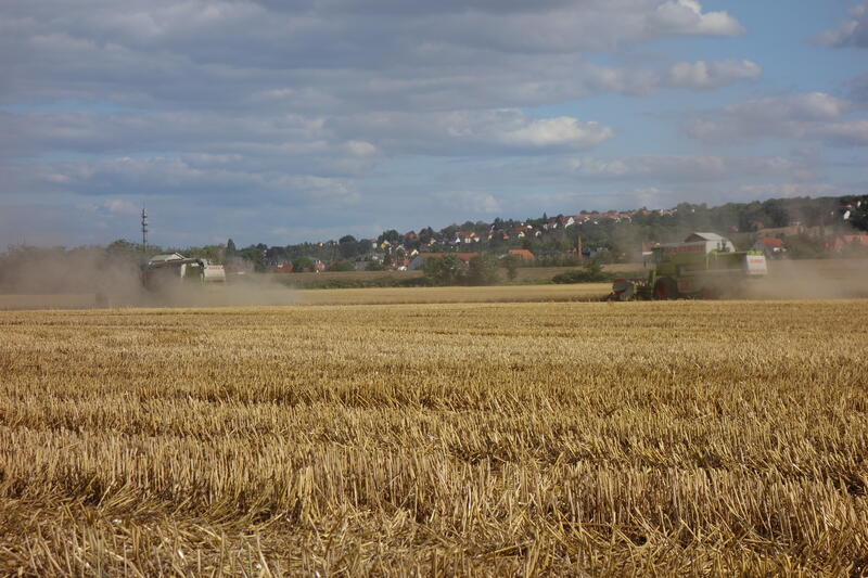bilder/27_5_2022/DSC02436.jpg