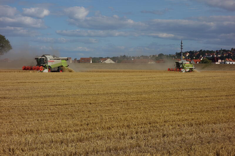 bilder/5_5_2013_2/CIMG7246.jpg