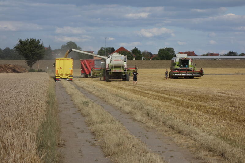 bilder/8_8_2013/CIMG8739.jpg
