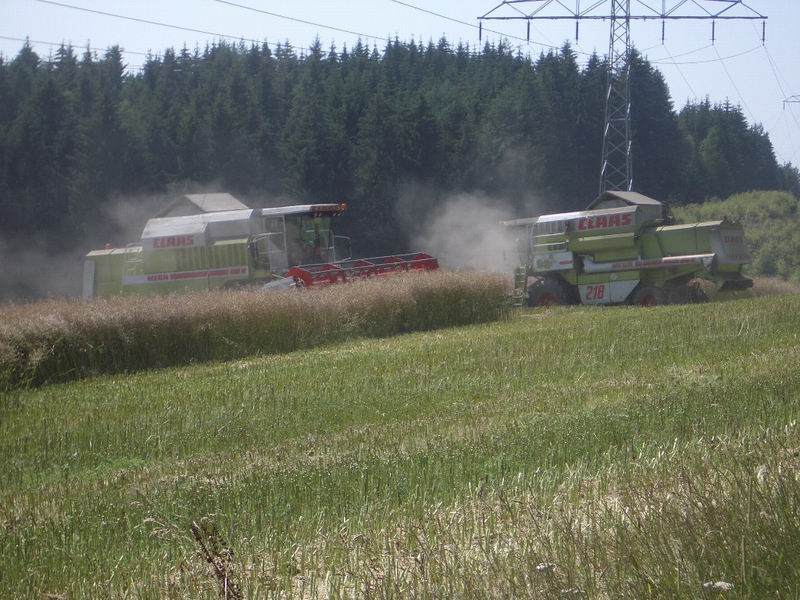 bilder/7_8_2004/2x_mega.jpg
